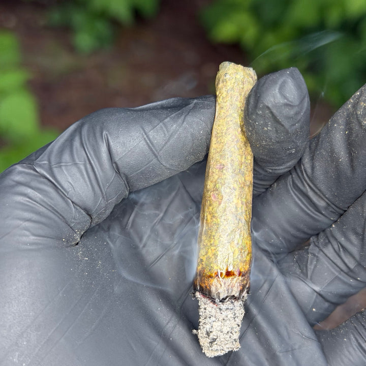 Cherry Mac Moonshine clean burn white ash AAAA sativa sweet gas Toronto