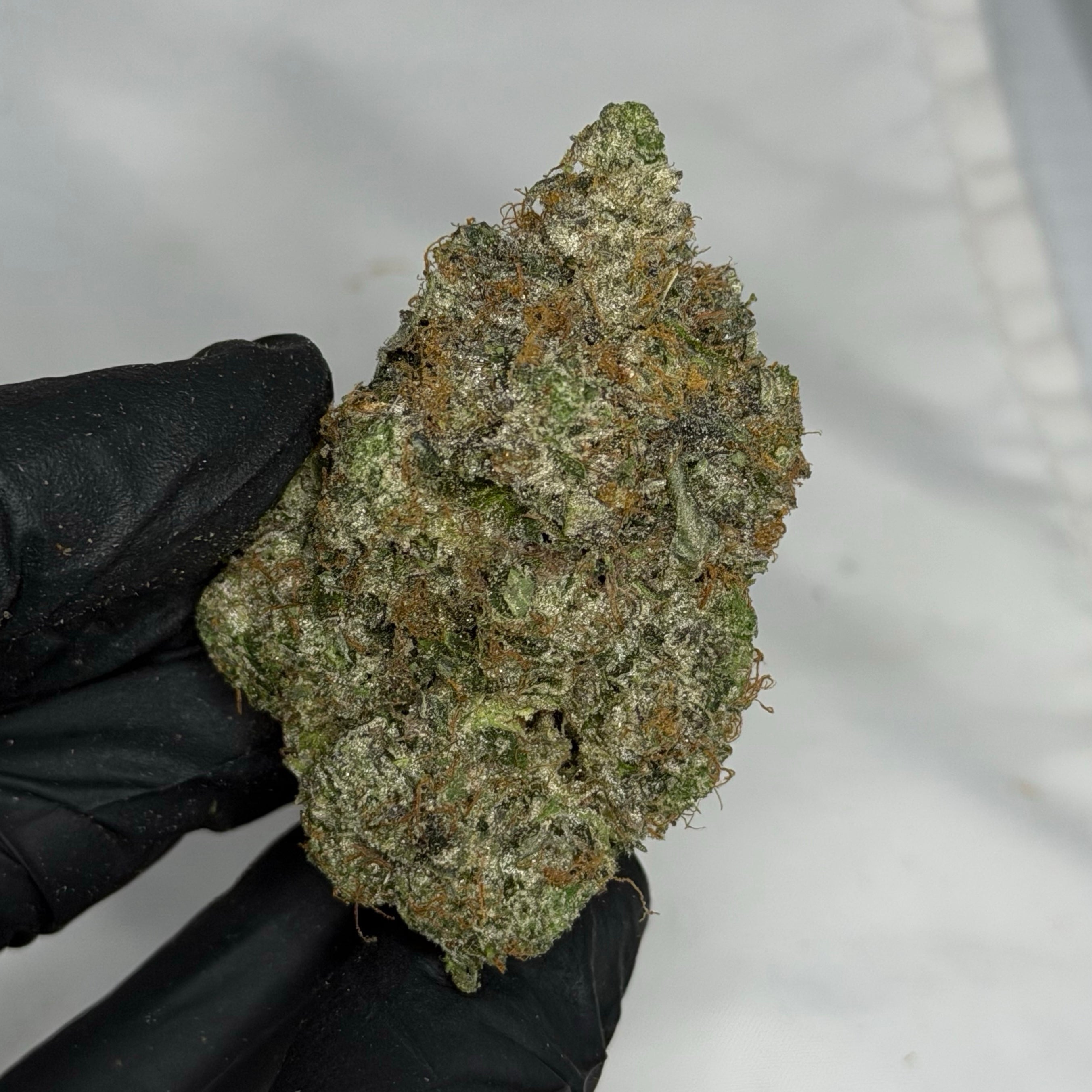 Jet Fuel XO ✈️ ALL PRODUCTS FLOWERS HYBRID