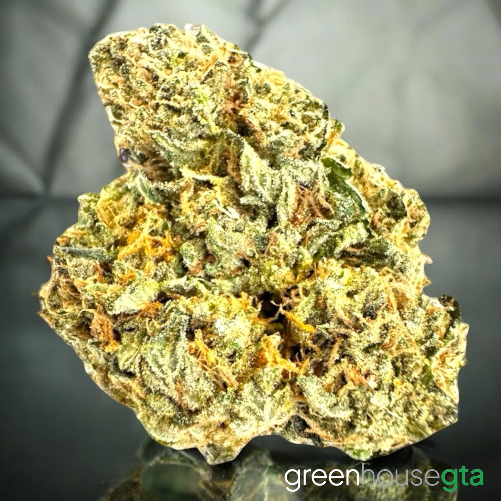 Close-up of Miracle Alien Cookies MAC AA+ Hybrid cannabis bud featuring dense crystal trichomes, sticky resin, sour citrus diesel terpenes and premium craft flower quality