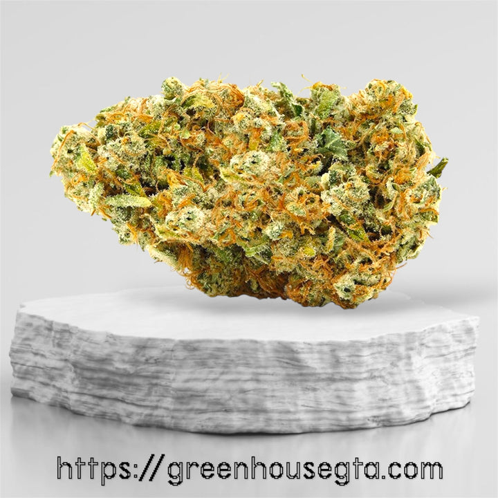 Cocobamba AA+ Indica Hybrid cannabis bud – creamy chocolate & nutty pepper flavour – Toronto weed delivery