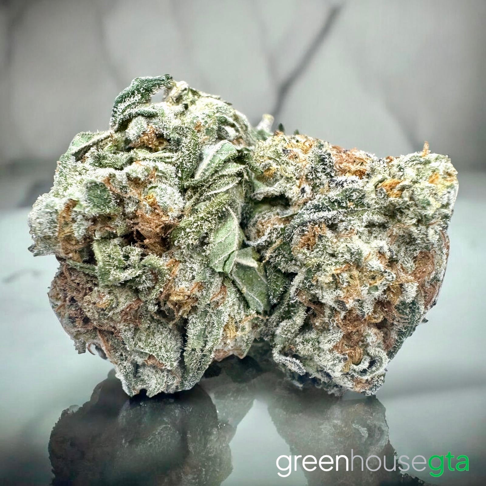 Cookie Dough AA hybrid flower with sweet cookie and vanilla terpenes - weed delivery Toronto