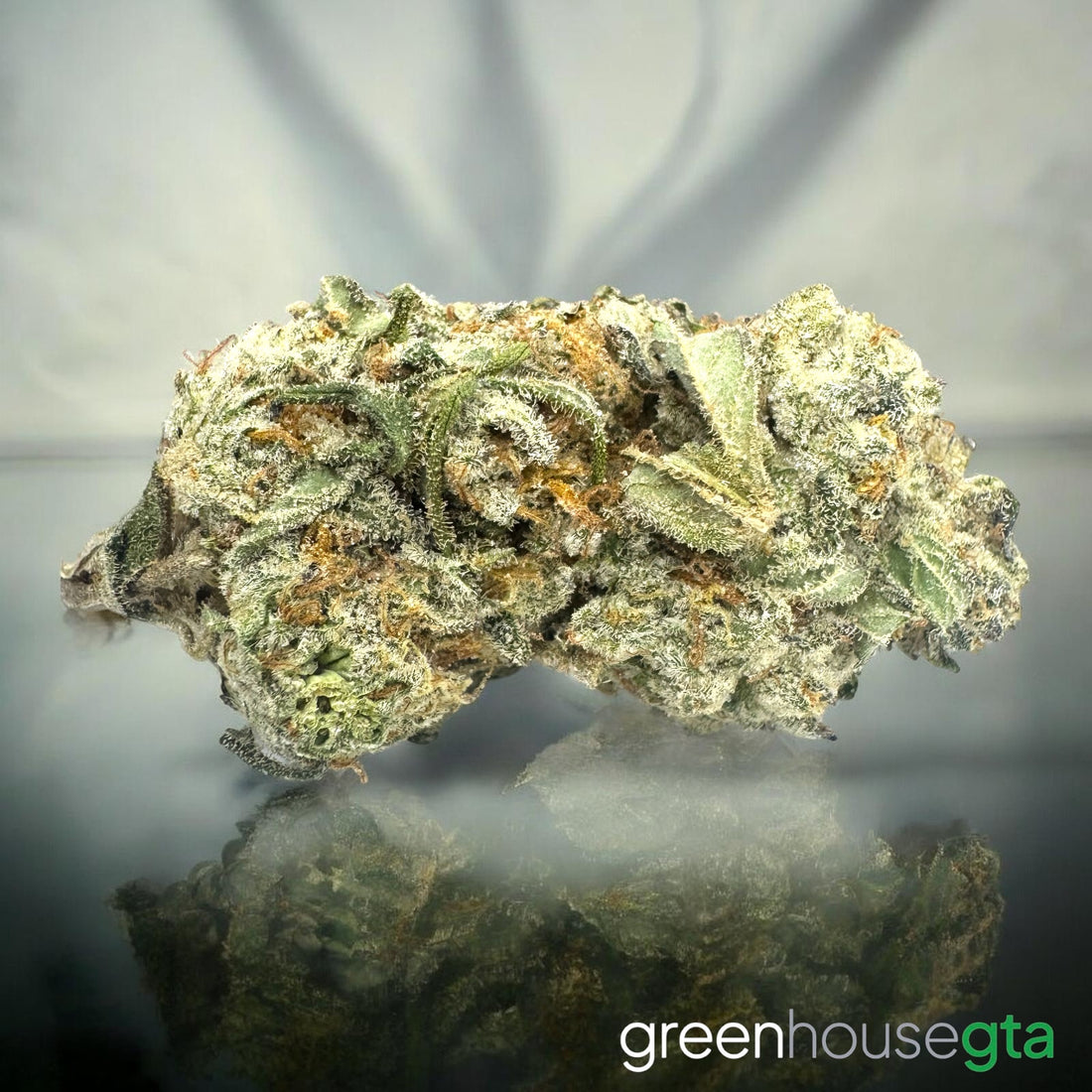Cookie Dough AA cannabis buds close up with mint dessert aroma - cannabis delivery Toronto GTA