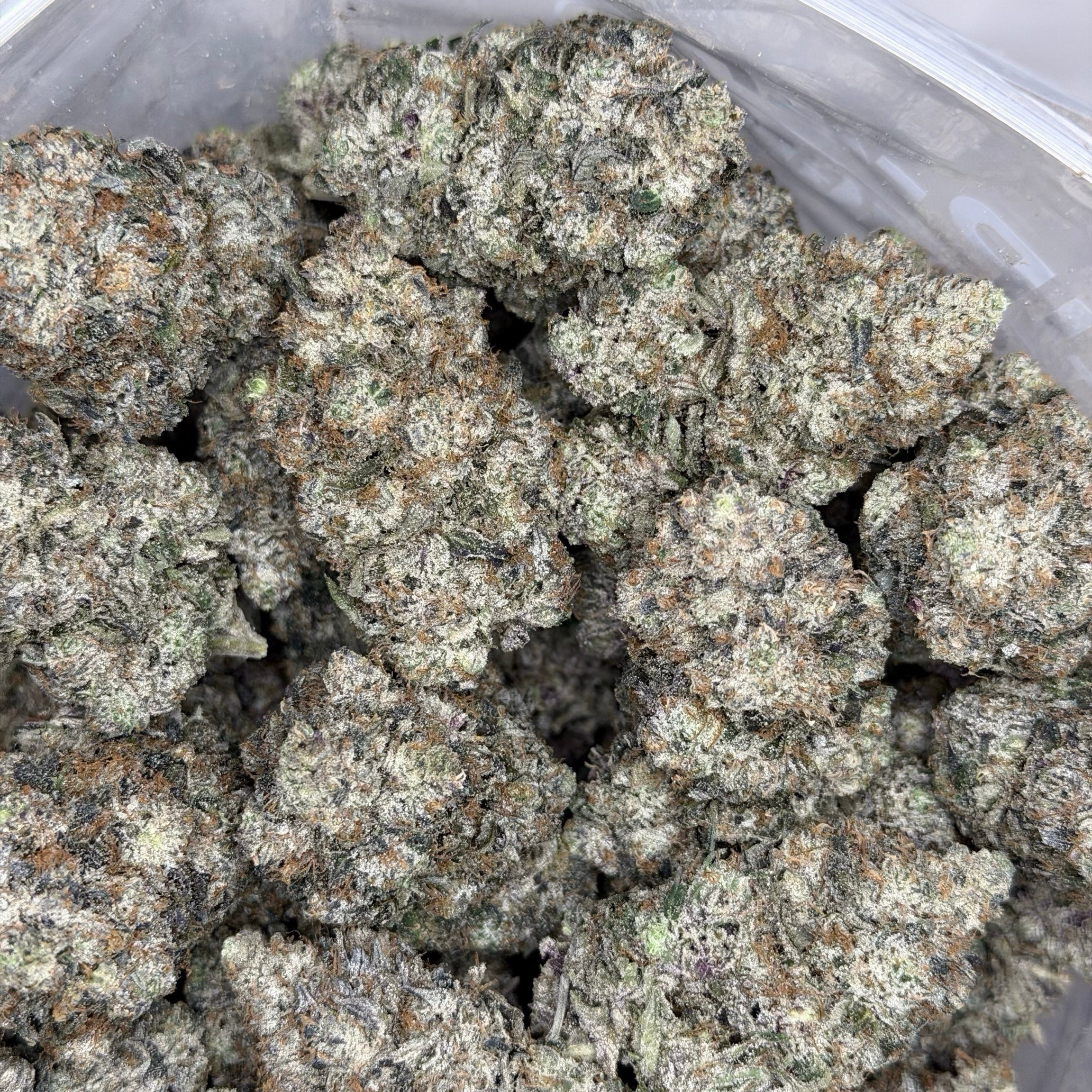 Cosmic Platinum ALL PRODUCTS FLOWERS HYBRID