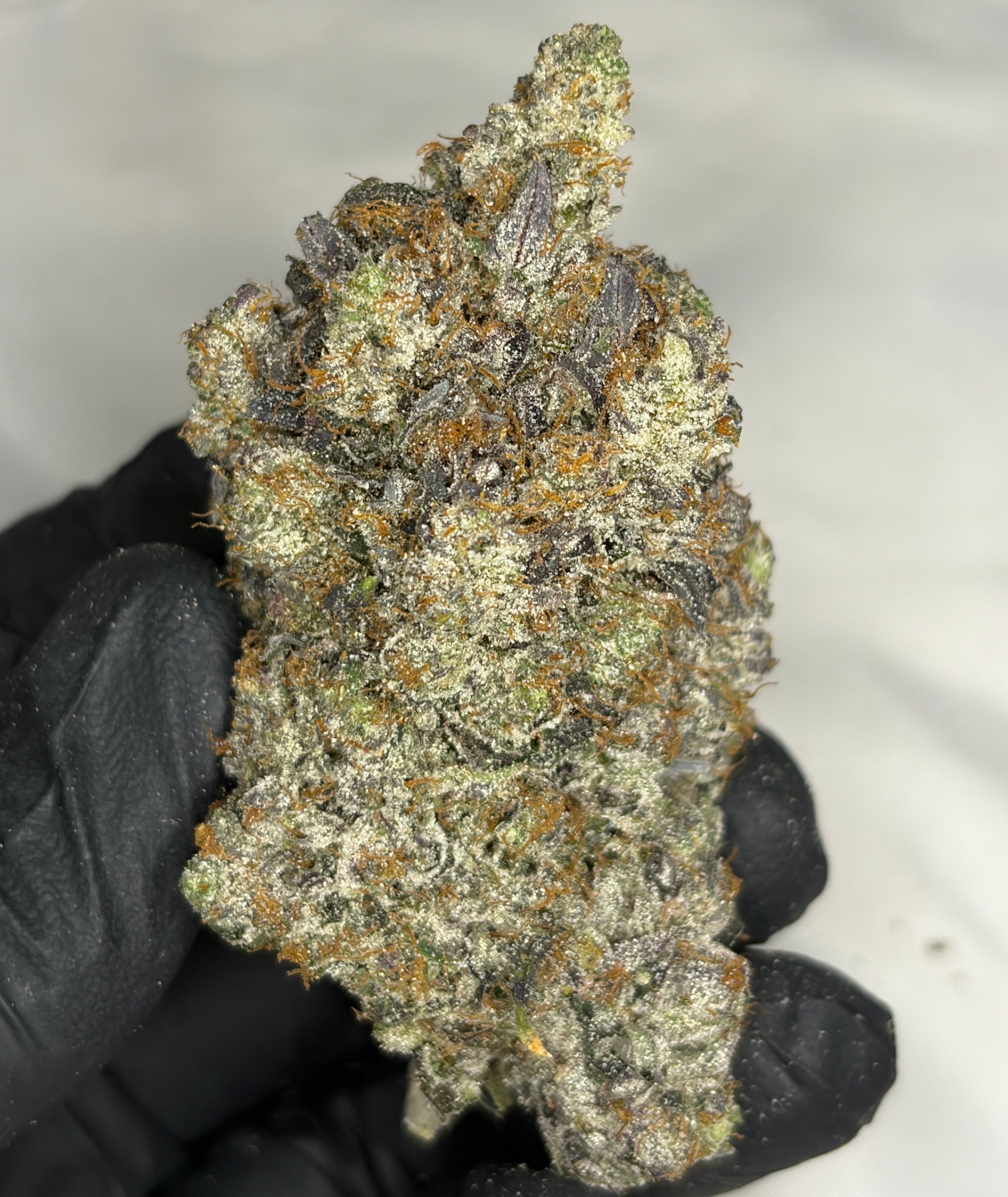 Creamsicle Pink LSO AAAAA indica strain 38% THC – super quads gas buds – Toronto weed delivery GreenHouseGTA