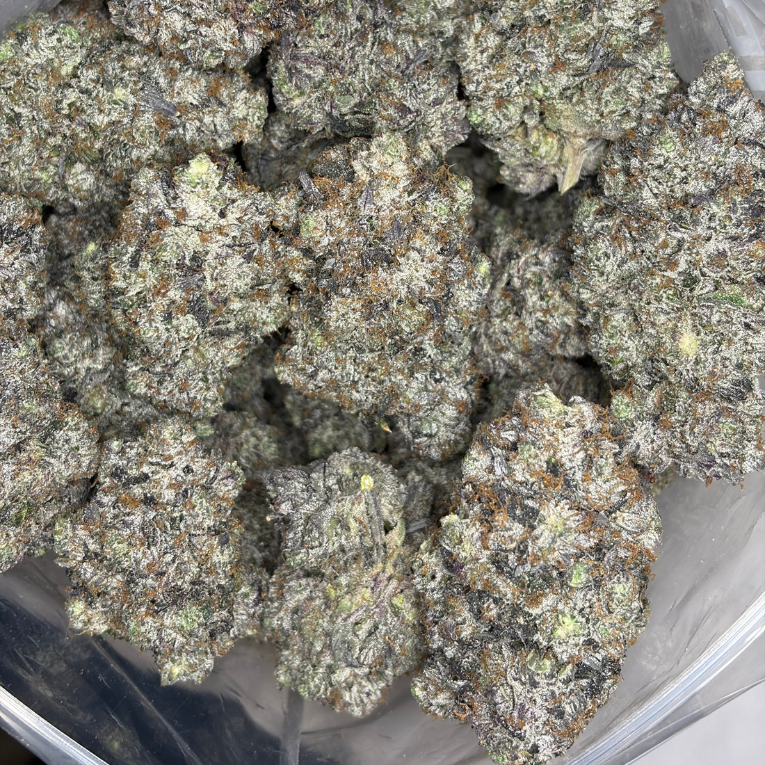 Creamsicle Pink LSO top-shelf gas flower – creamy citrus vanilla aroma – same-day weed delivery GTA