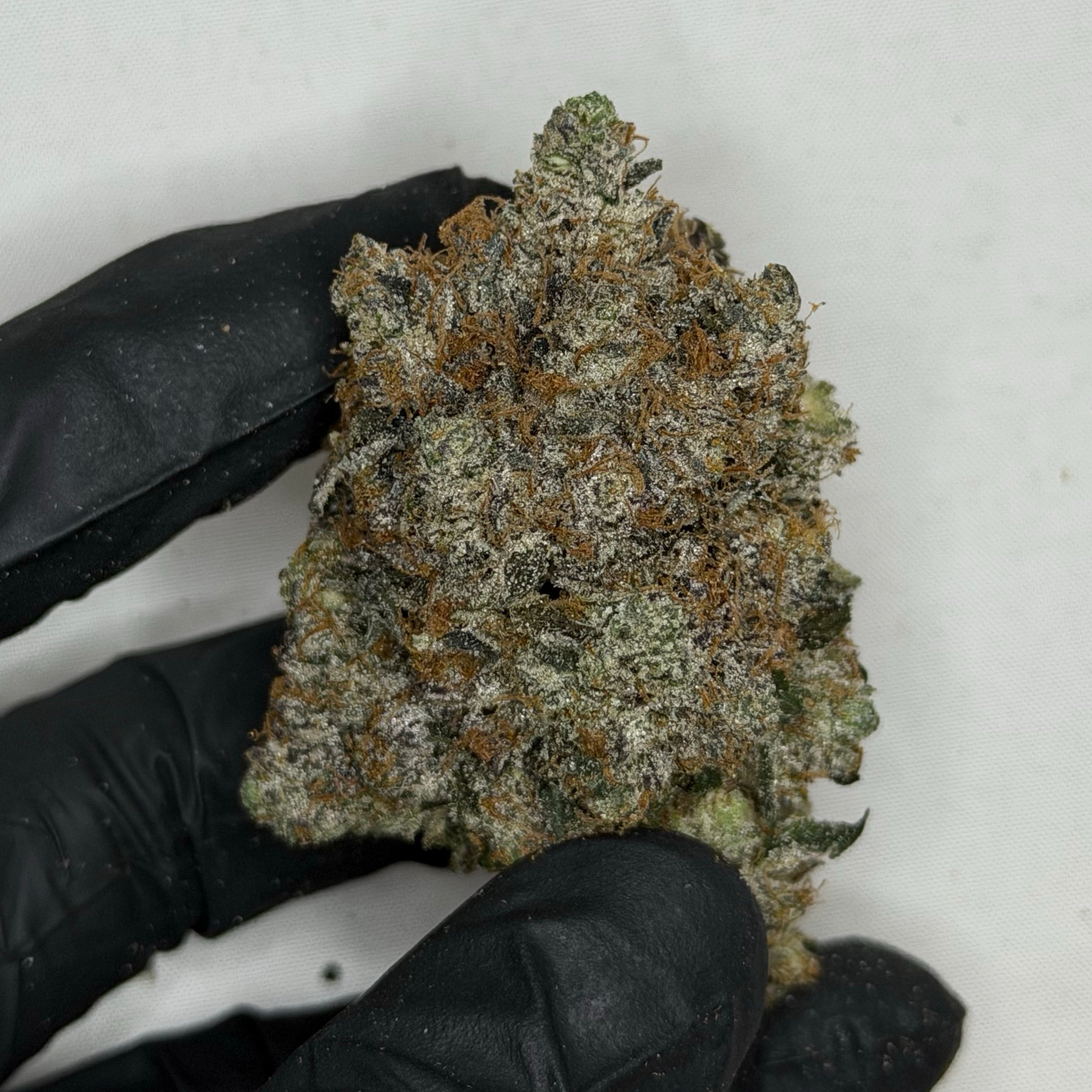 D-Boy Pink AAAAA Indica loud gas flower 38 percent THC weed delivery Toronto