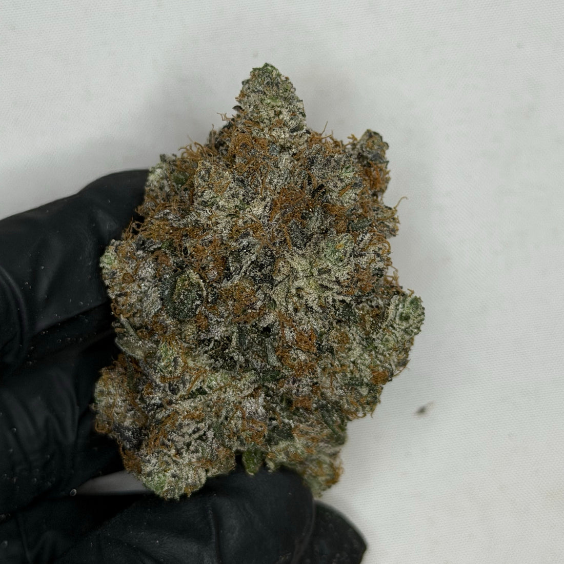 D-Boy Pink AAAAA premium gas bud same day weed delivery Toronto