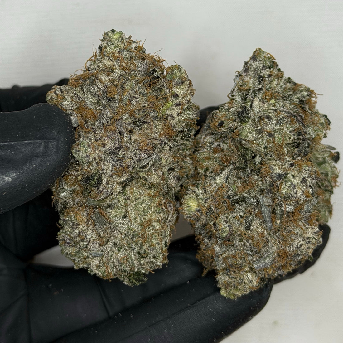 D-Boy Pink AAAAA sticky resin covered buds Toronto cannabis delivery