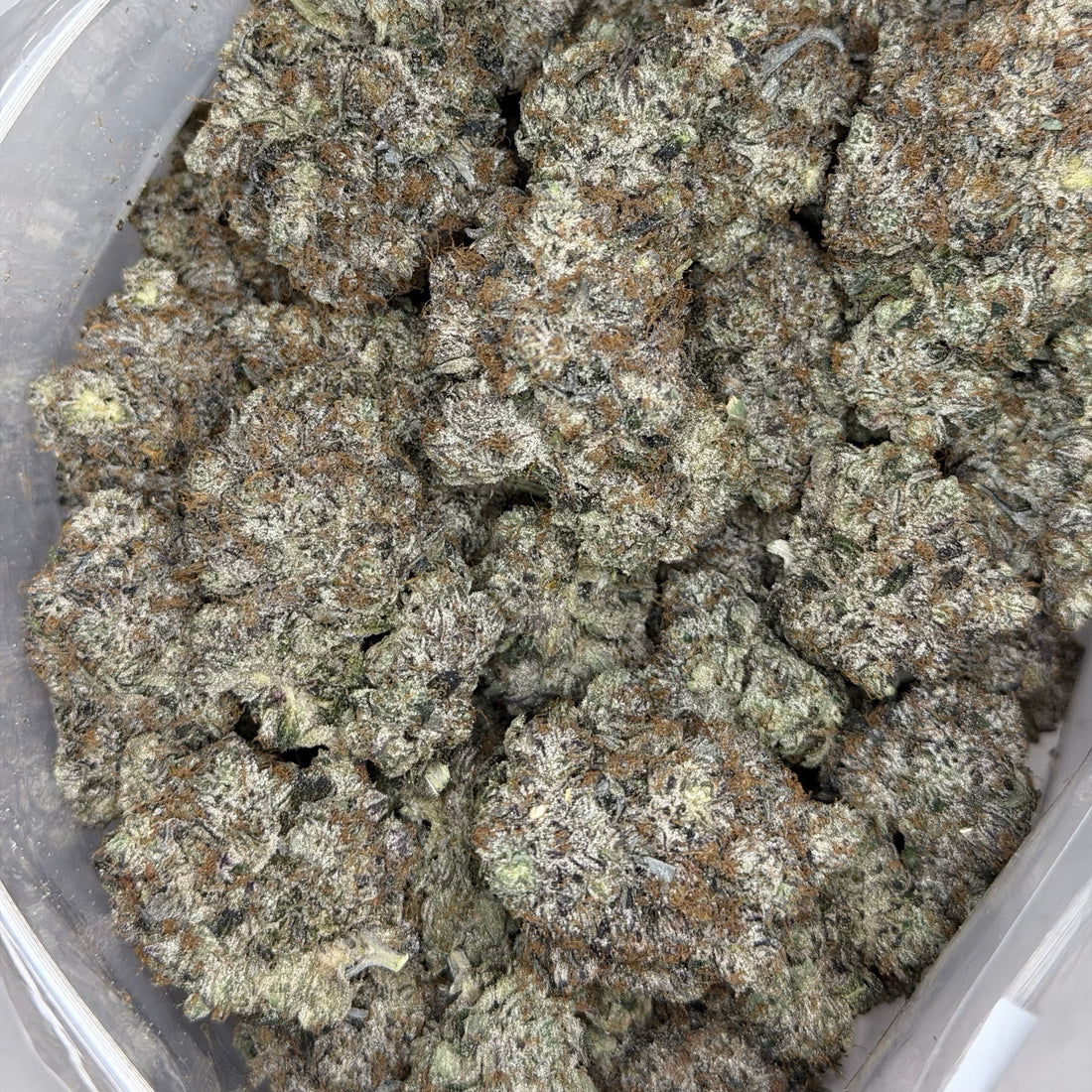D-Boy Pink top shelf AAAAA cannabis flower heavy gas strain Toronto GTA