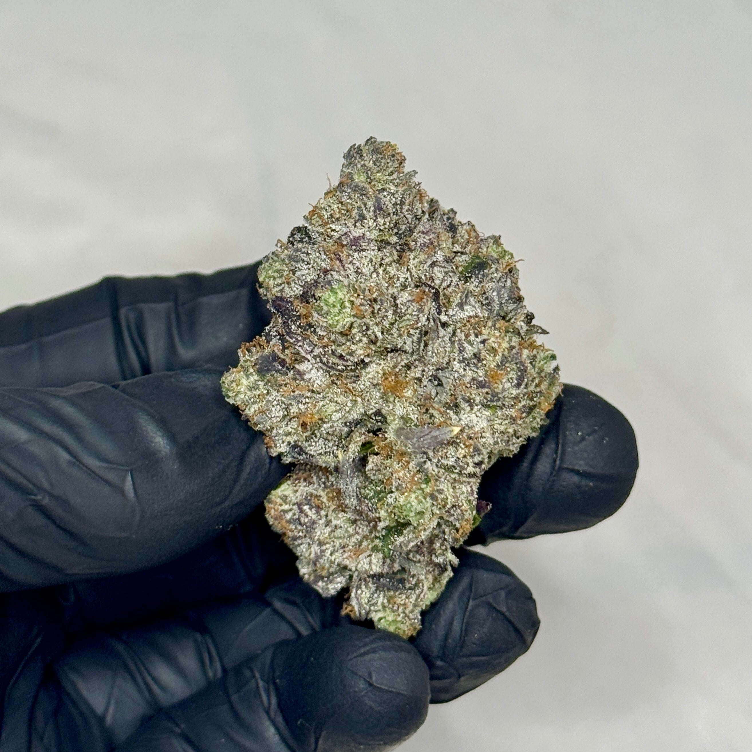 Death Star Reserve AAAAA Super Quad Indica – Single Frosty Skunky Diesel Bud – Toronto Cannabis Delivery