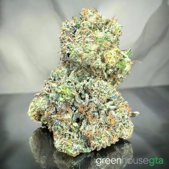 Dirty Sprite OG premium AAAA gas bud citrus diesel terpenes Toronto weed delivery