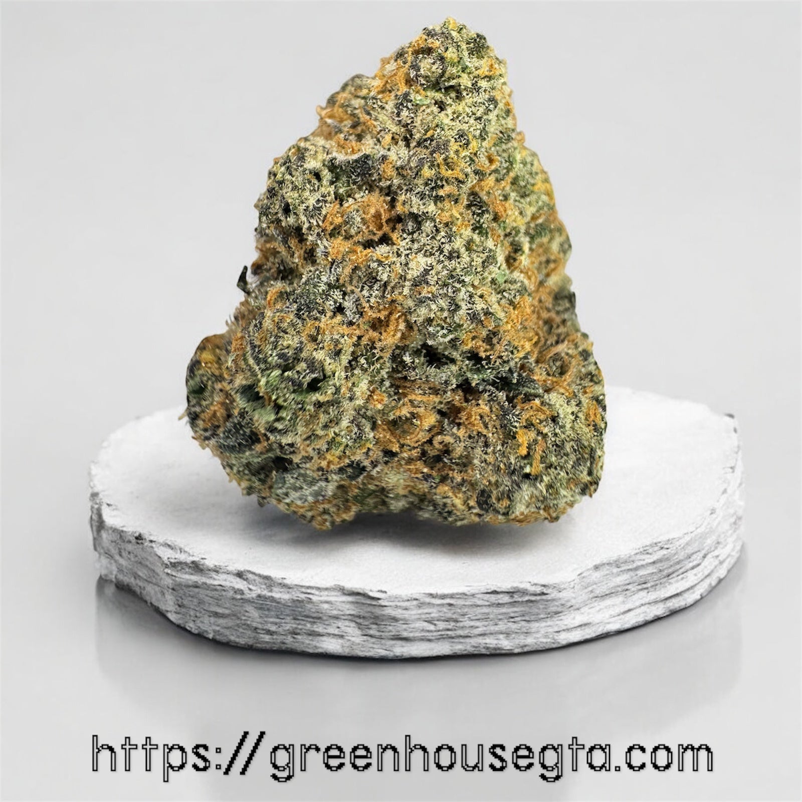East Coast Alien AAA Sativa strain big buds 28% THC – premium gas weed delivery Toronto GreenHouseGTA