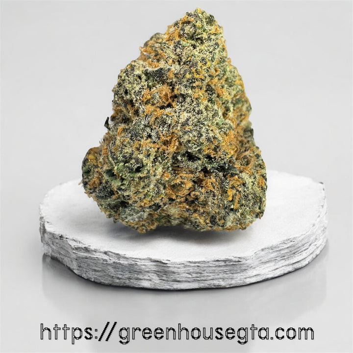 East Coast Alien AAA Sativa strain big buds 28% THC – premium gas weed delivery Toronto GreenHouseGTA