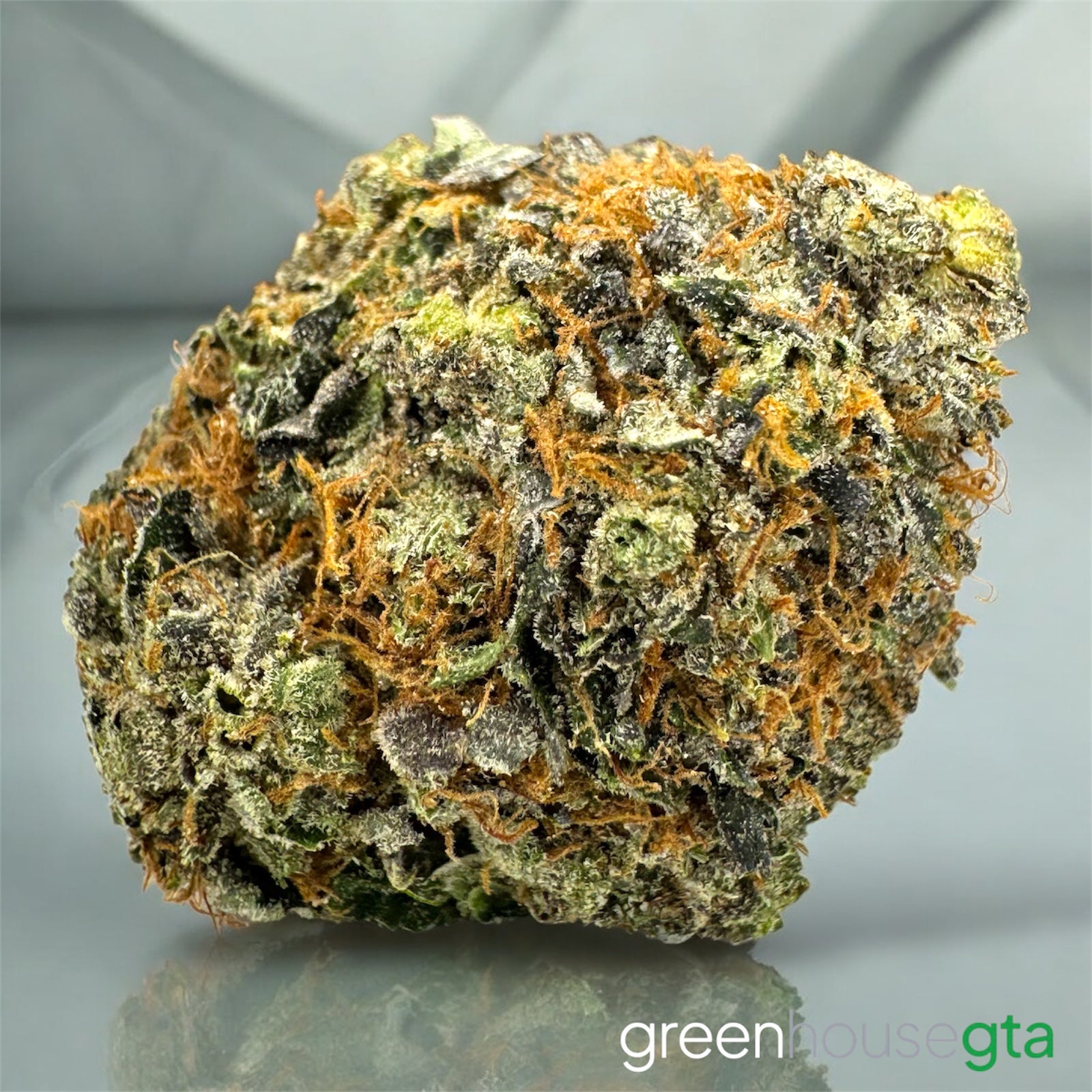 Elmers Blue Goo AAAA Indica 32% THC – Toronto weed delivery premium gas strain