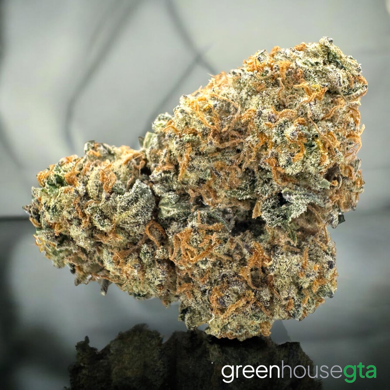 Fruit Loops AA+ Hybrid medium buds | Cheap Weed Delivery Toronto
