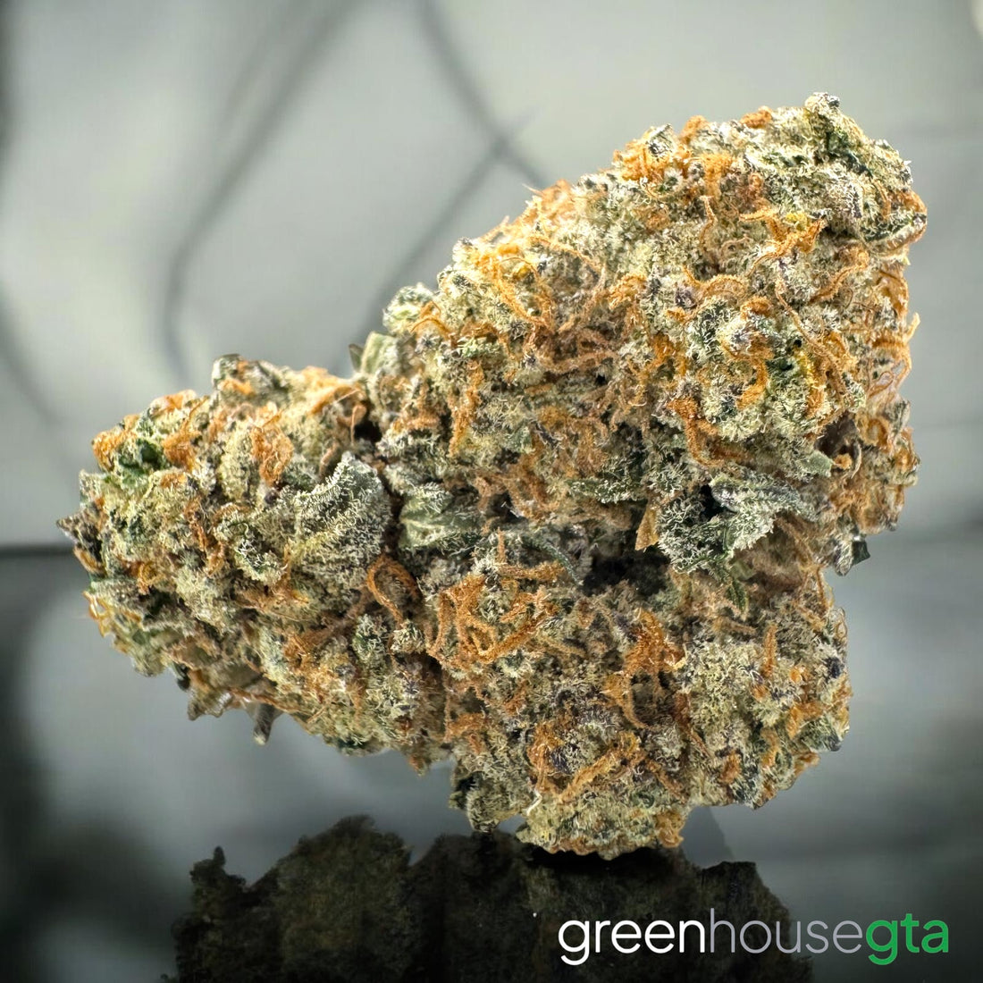 Fruit Loops AA+ Hybrid medium buds | Cheap Weed Delivery Toronto