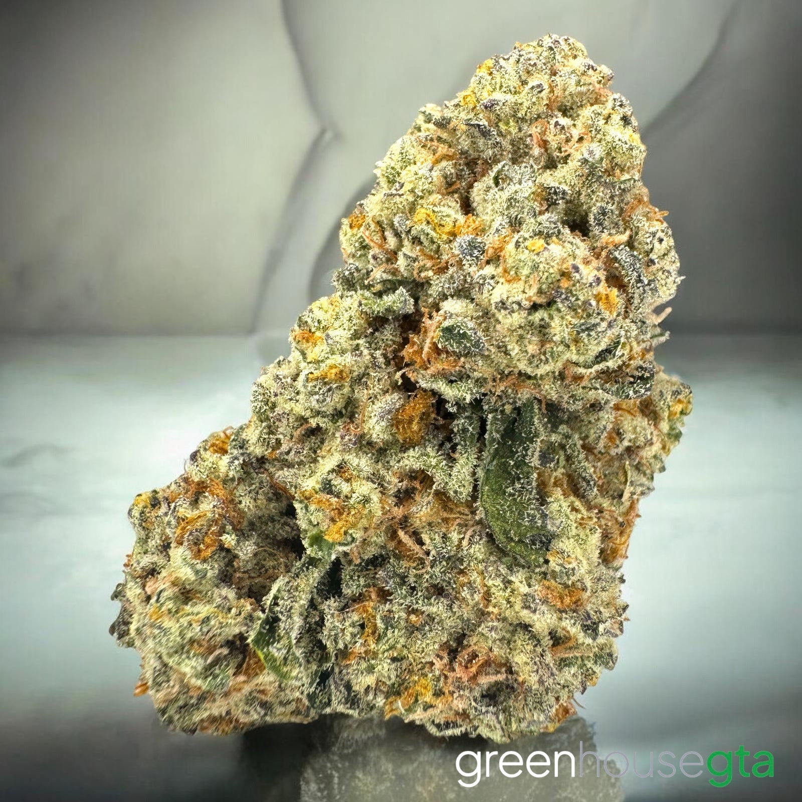 Fuego Loco AAA+ Hybrid 30% THC flower | GreenHouseGTA Toronto
