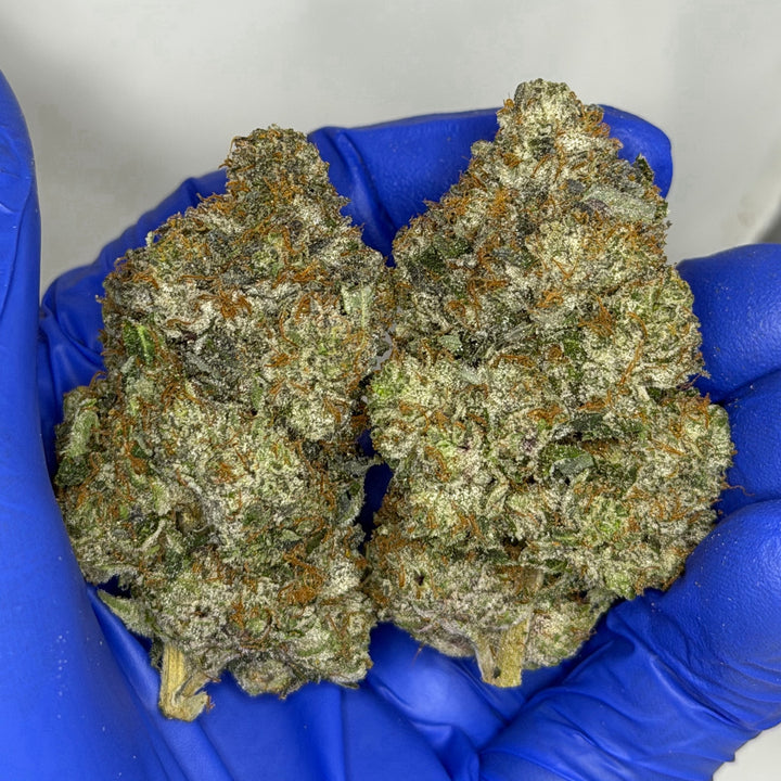 Gas Chamber LSO ALL PRODUCTS FLOWERS INDICA