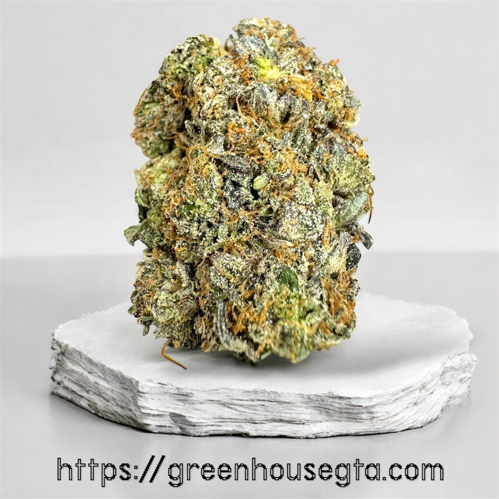 Ginger Bread Gas AAAA Indica flower 32% THC – premium weed delivery Toronto