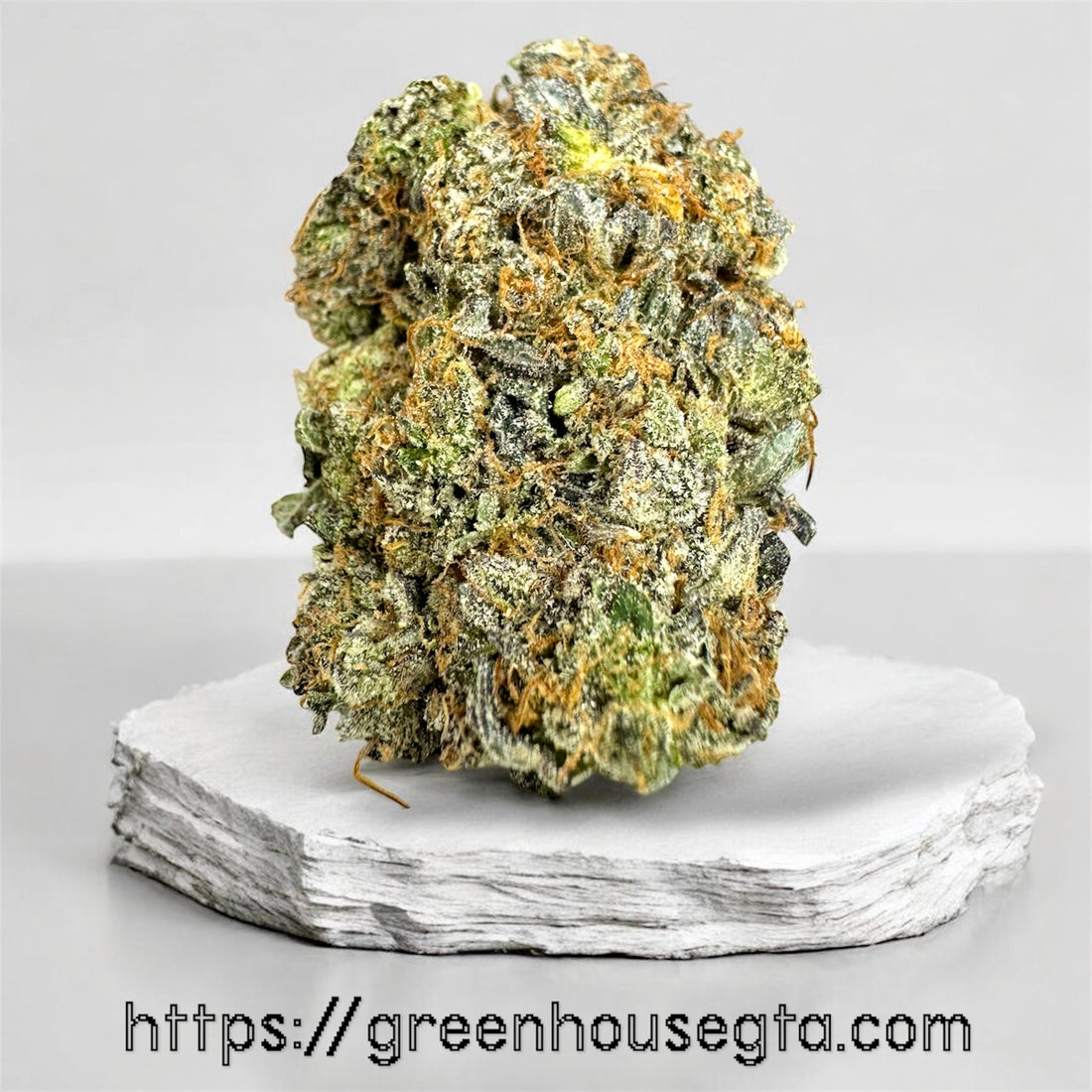 Ginger Bread Gas AAAA Indica flower 32% THC – premium weed delivery Toronto