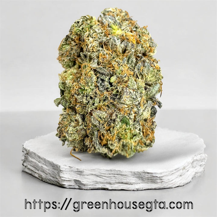 Ginger Bread Gas AAAA Indica flower 32% THC – premium weed delivery Toronto
