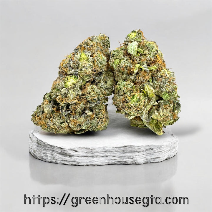 Ginger Bread Gas AAAA Indica buds – same-day cannabis delivery Toronto
