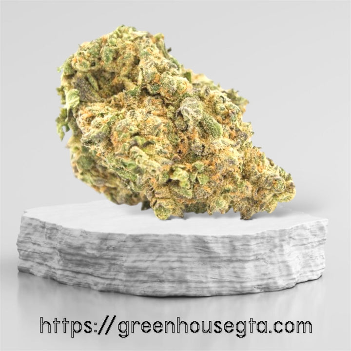 Golden Bloom - Flash Sale