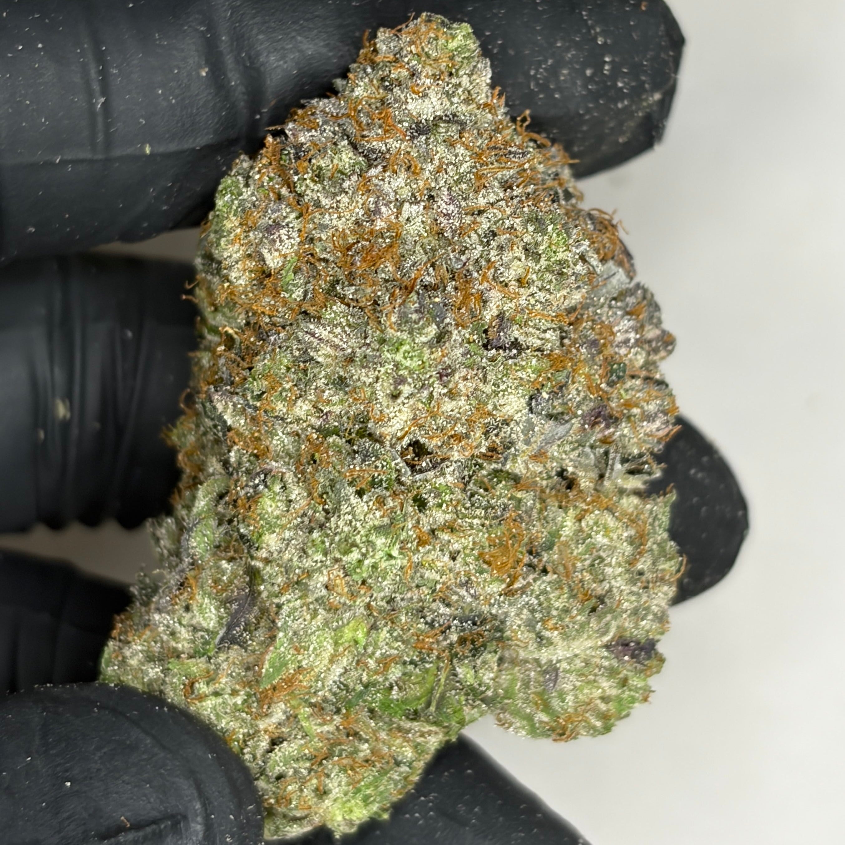 Gravity Bootz cannabis buds close-up – frosty trichomes and dense structure – premium hybrid Toronto