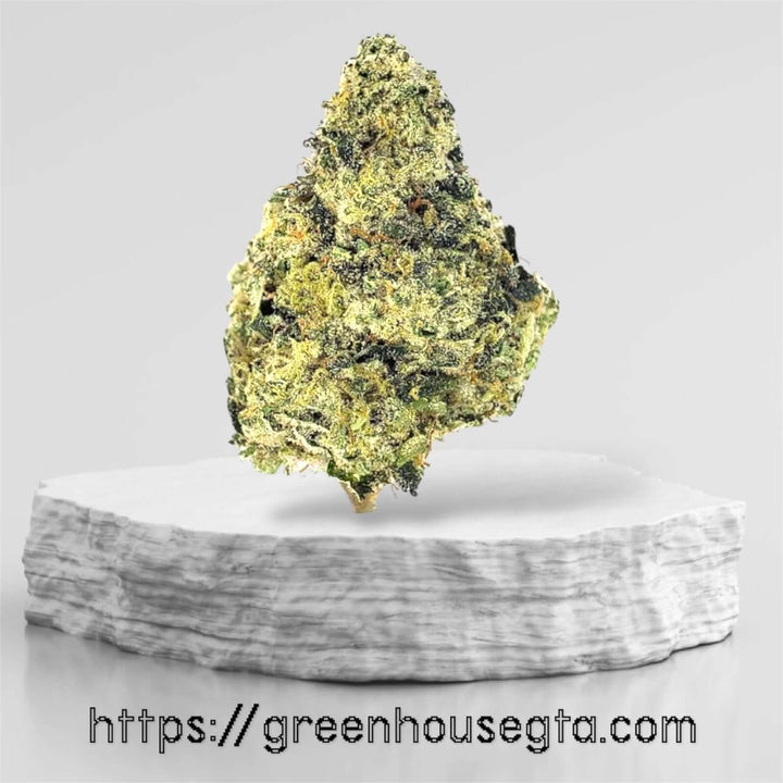 Green Opulence sativa dominant hybrid weed strain – same-day weed delivery Toronto – GreenHouseGTA
