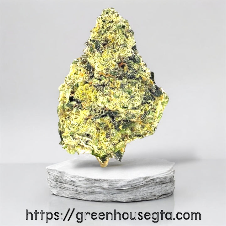 Green Opulence strain AAAA Sativa Hybrid – 32% THC premium weed flower – Toronto same-day delivery