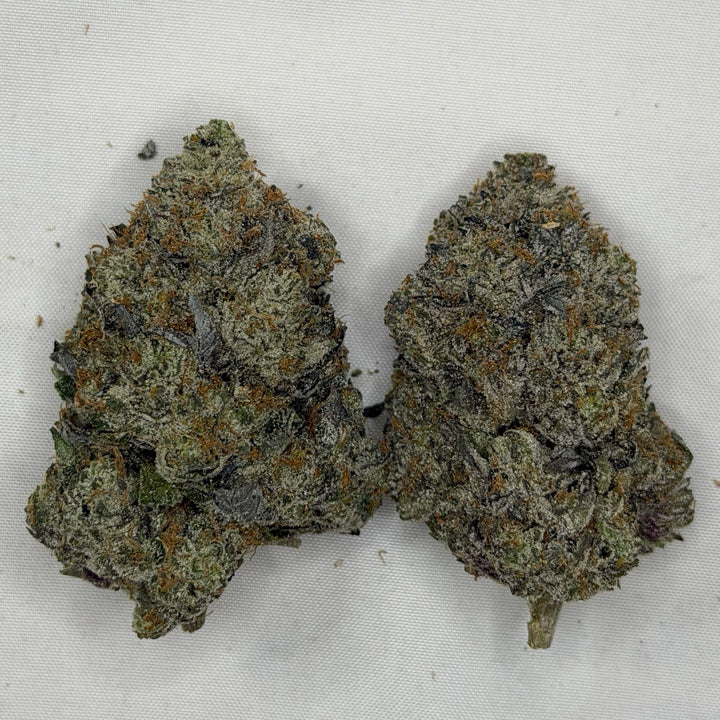 Grumpz Pink LSO AAAAA Indica large light purple buds premium flower – weed delivery Toronto