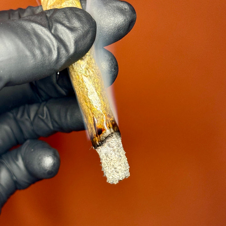 Guava Auto strain joint burning – exotic gas hybrid with frosty ash, premium AAAAA weed Toronto delivery