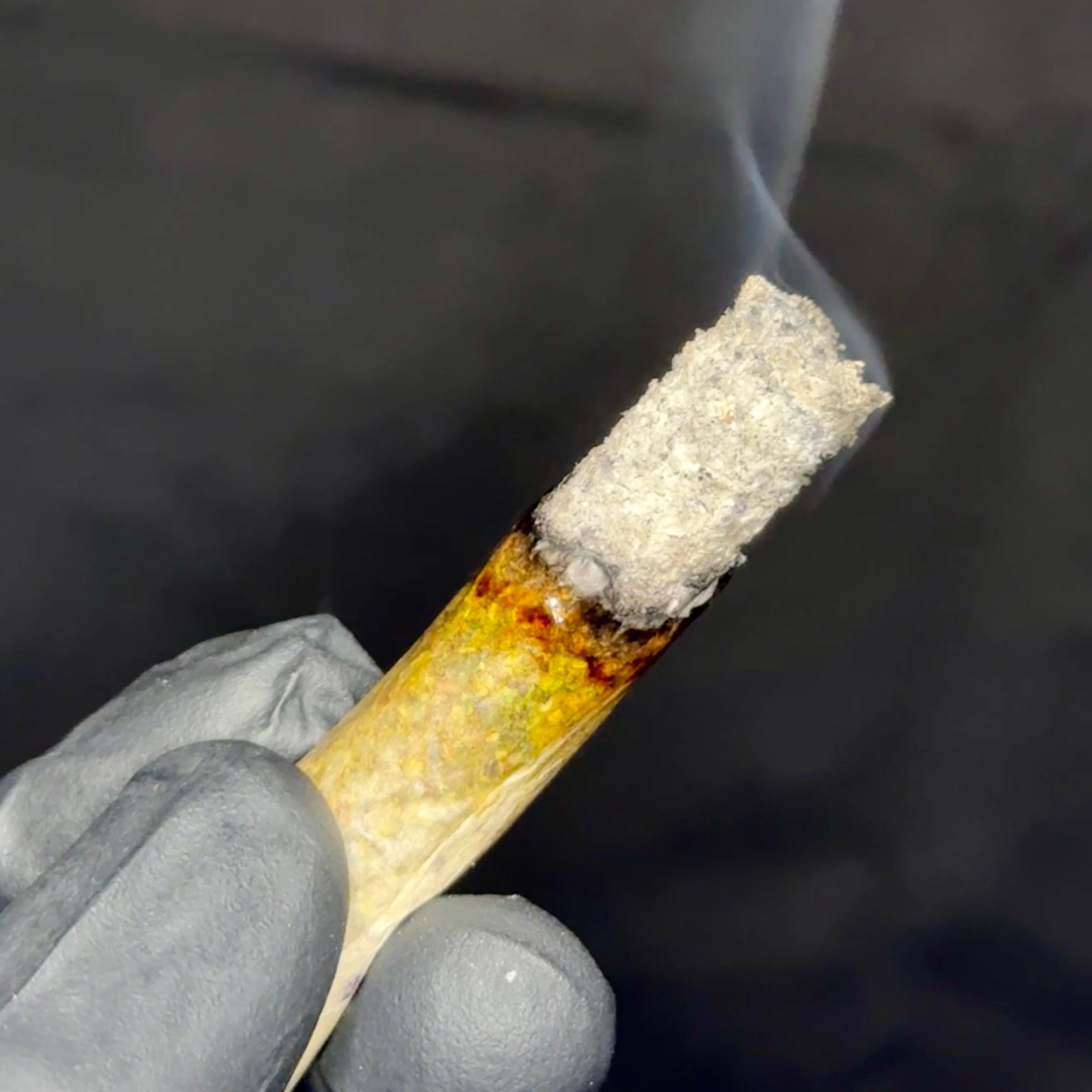 Gucci Pink strain burning smoothly – white ash and heavy gas aroma, premium indica from GreenHouseGTA Toronto