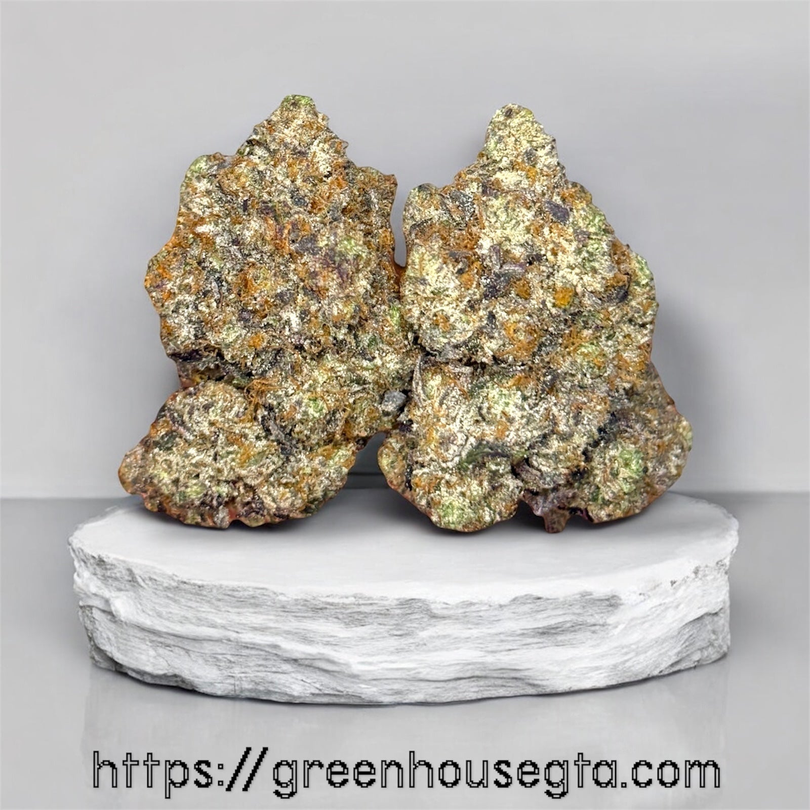 "Gucci Pink AAAAA Indica strain – premium super quads flower with gas aroma and frosty buds – GreenHouseGTA weed delivery Toronto