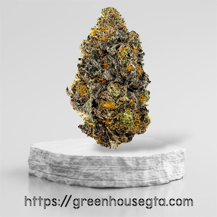 Sugar Cane Sativa 34% THC – Exotic AAAA Weed – All-Day Chill – Buy Weed Online Toronto – GreenHouseGTA Delivery