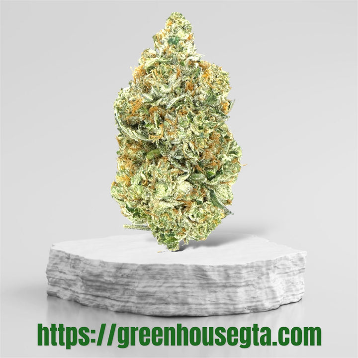 Hawaiian Spice AAA+ Sativa 30% THC – Good Tropical Gas Weed $140/oz Scarborough Delivery