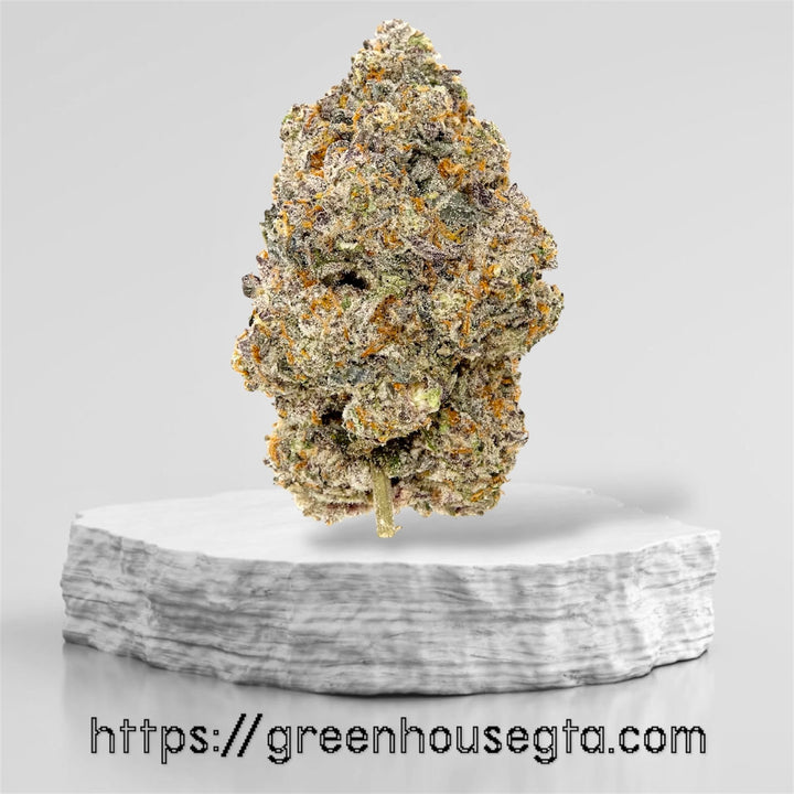 Himalayan Pink AAAA Sativa – same-day weed delivery Scarborough