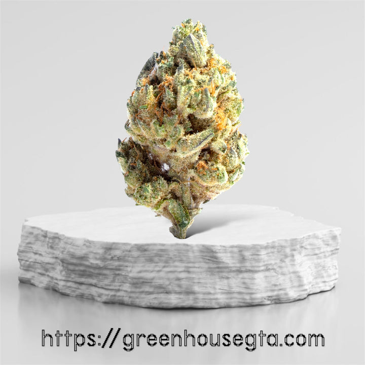Holy Grail - Flash Sale