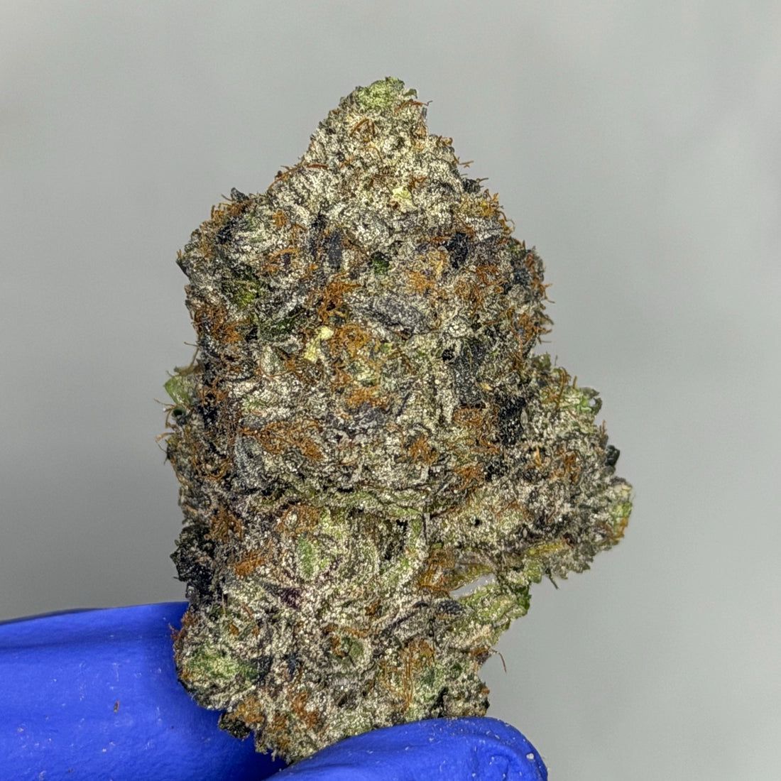 Heisenberg Dual Fuel