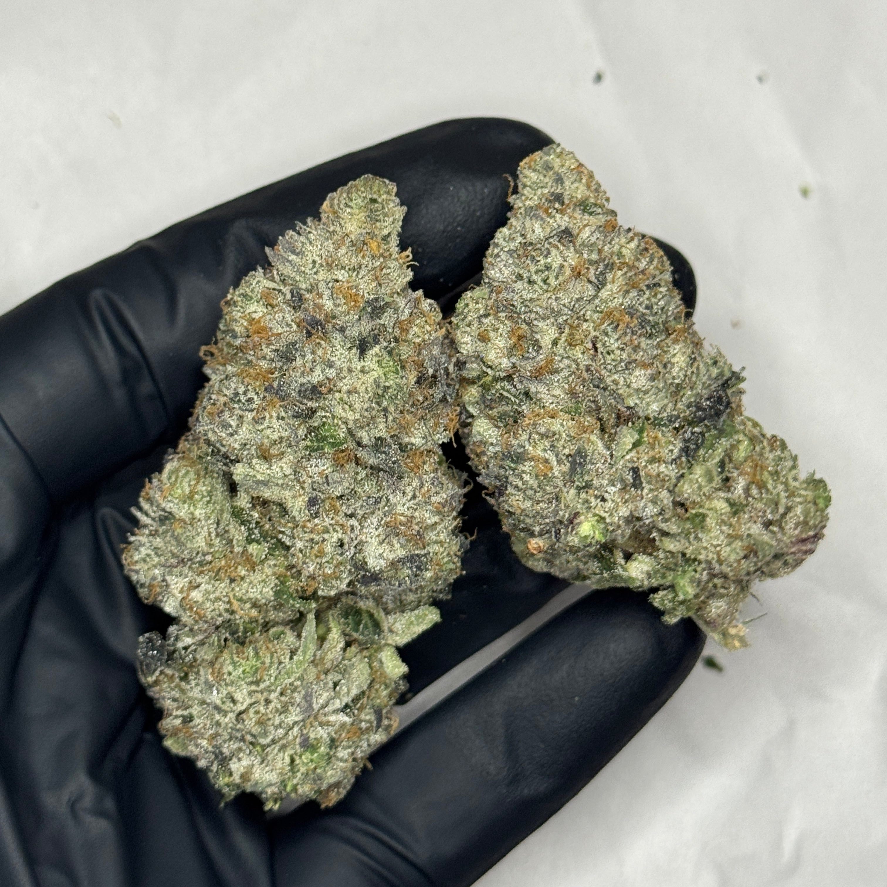 Cherry Vanilla Skunk