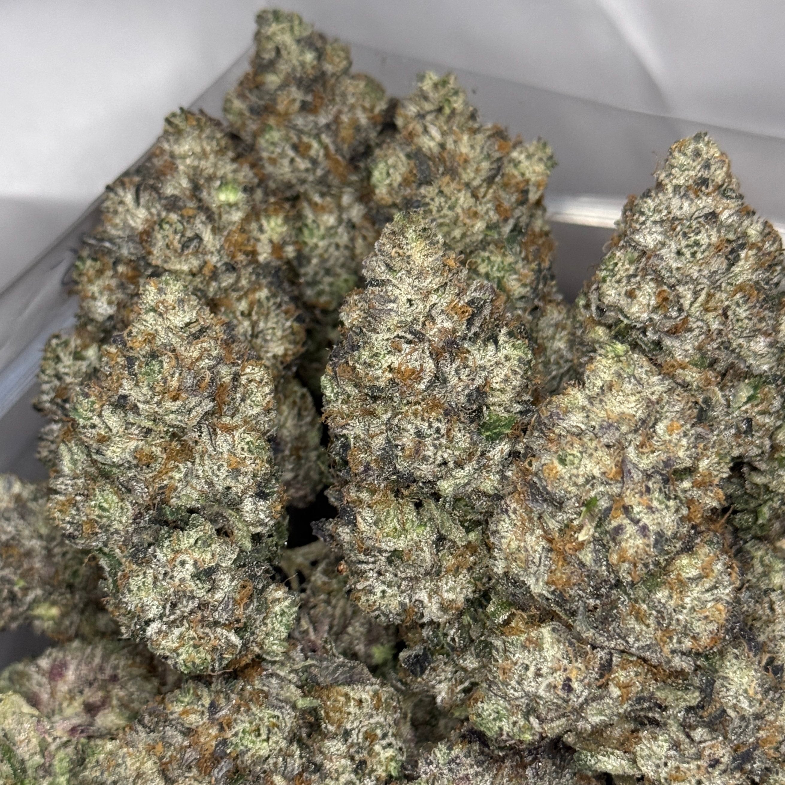 Cherry Vanilla Skunk
