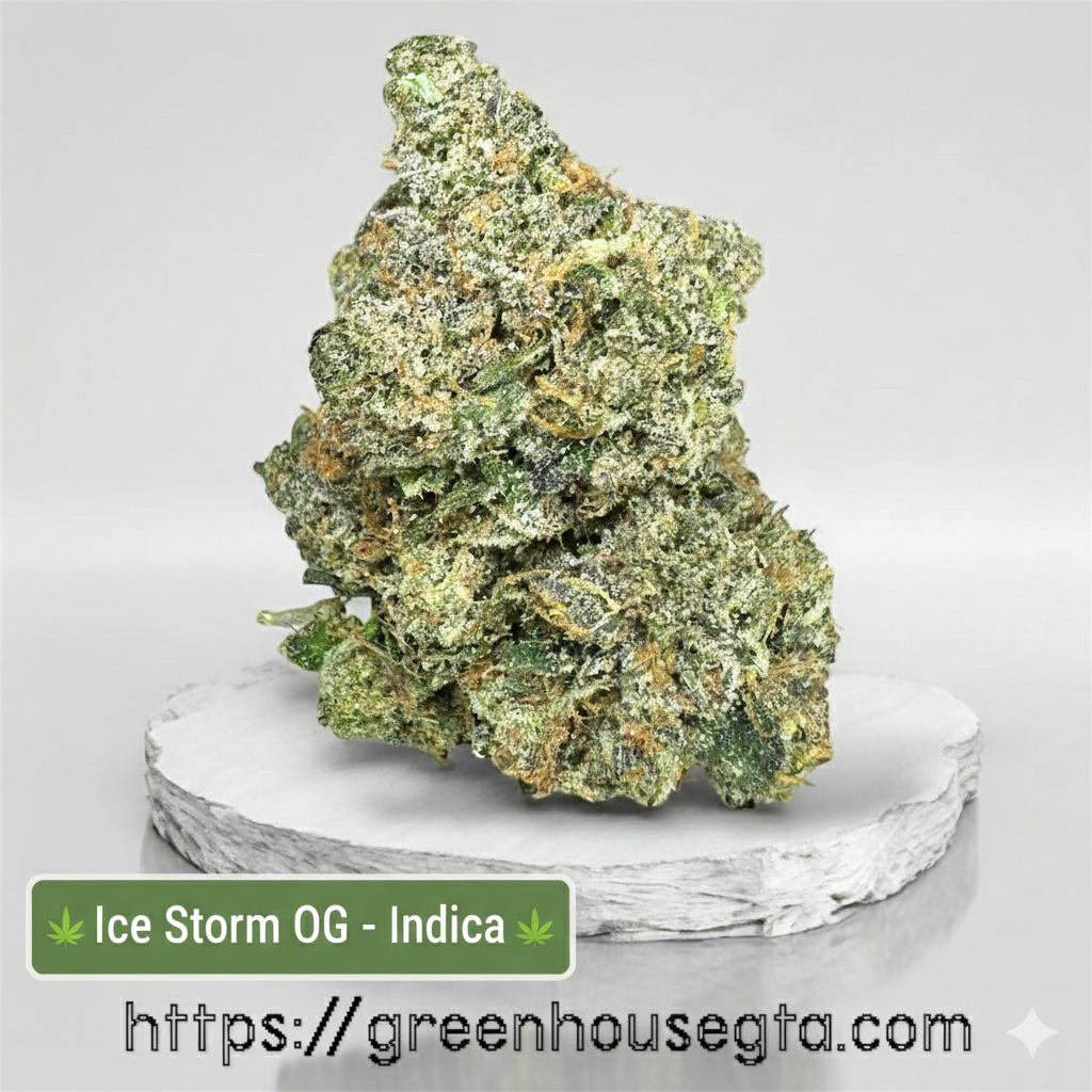 Ice Storm OG AAAA Indica buds – Weekend Fire Deal 30% off by GreenHouseGTA with same-day weed delivery in Toronto & GTA