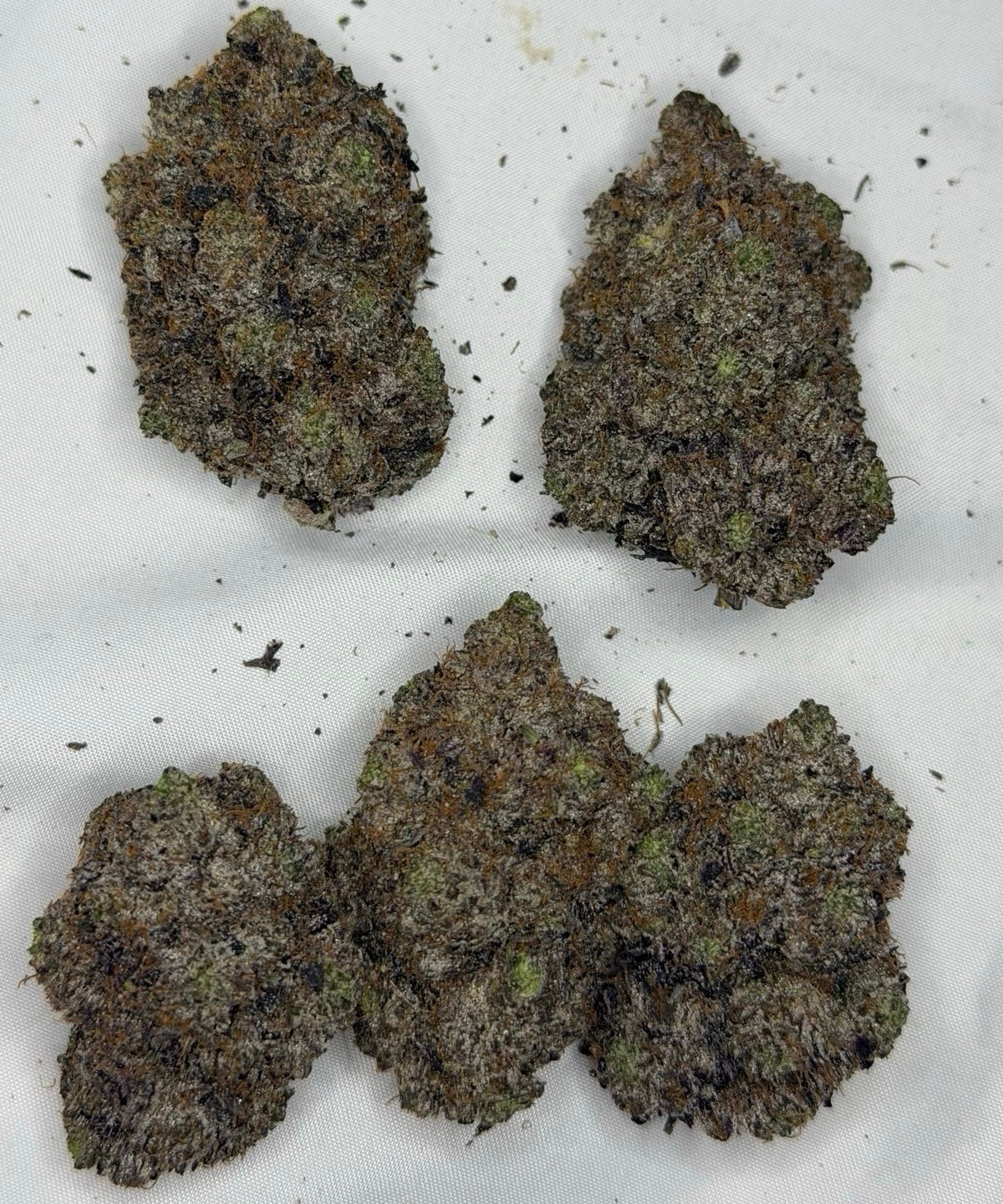 Insanely Slapper Pink AAAAA 42% THC dense purple buds elite Super Quads flower – weed delivery Toronto