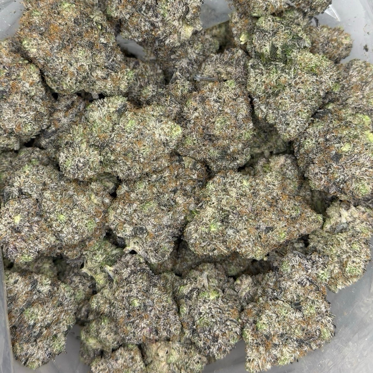 Insanely Slapper Pink close-up coated trichomes loud pink gas strain – North York weed delivery