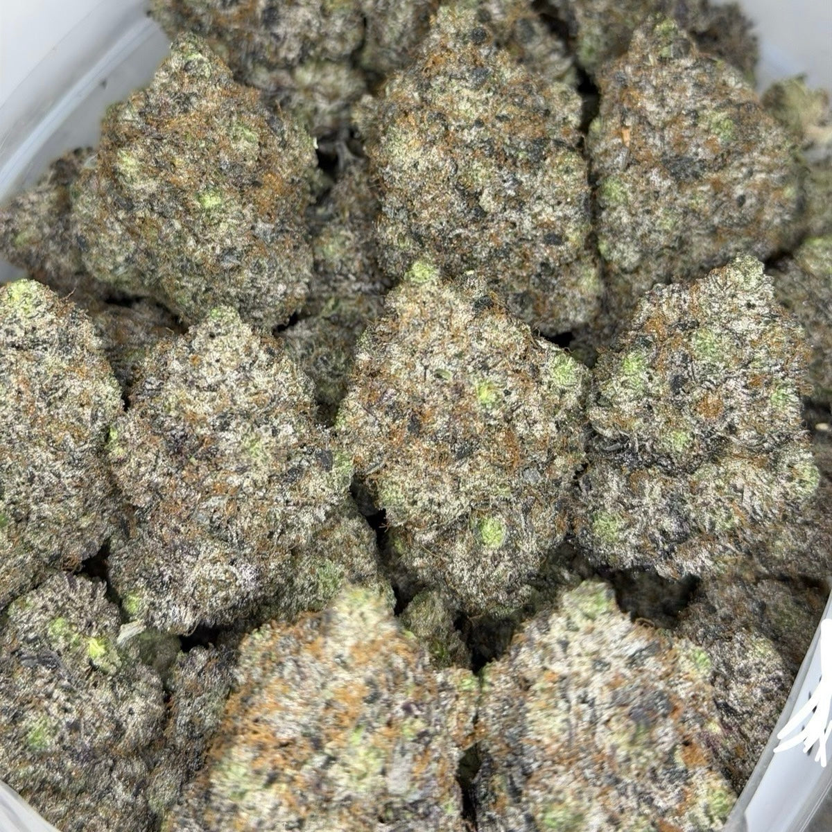 Insanely Slapper Pink large dense buds frosty trichomes top shelf cannabis – Toronto delivery