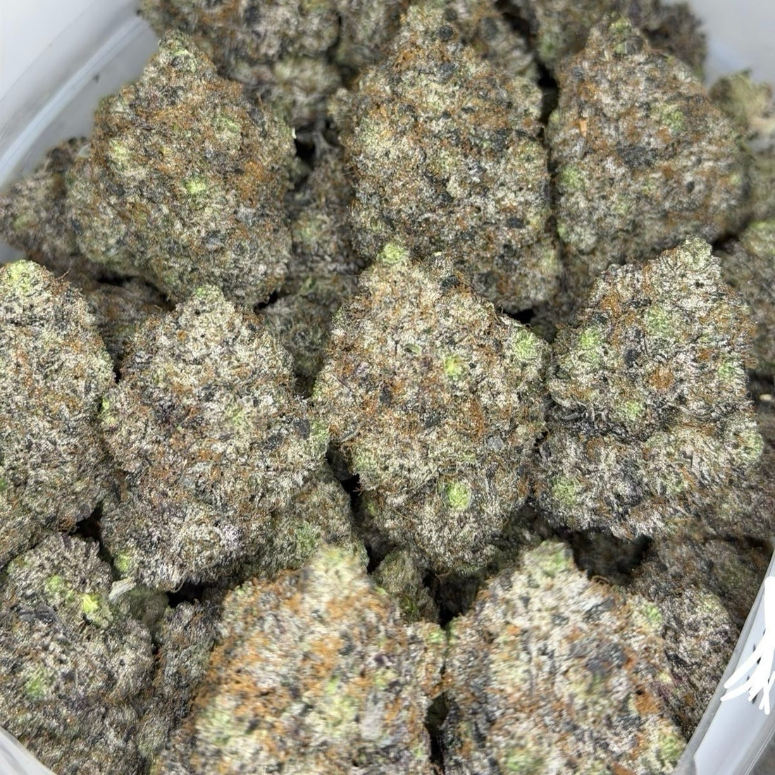 Insanely Slapper Pink large dense buds frosty trichomes top shelf cannabis – Toronto delivery