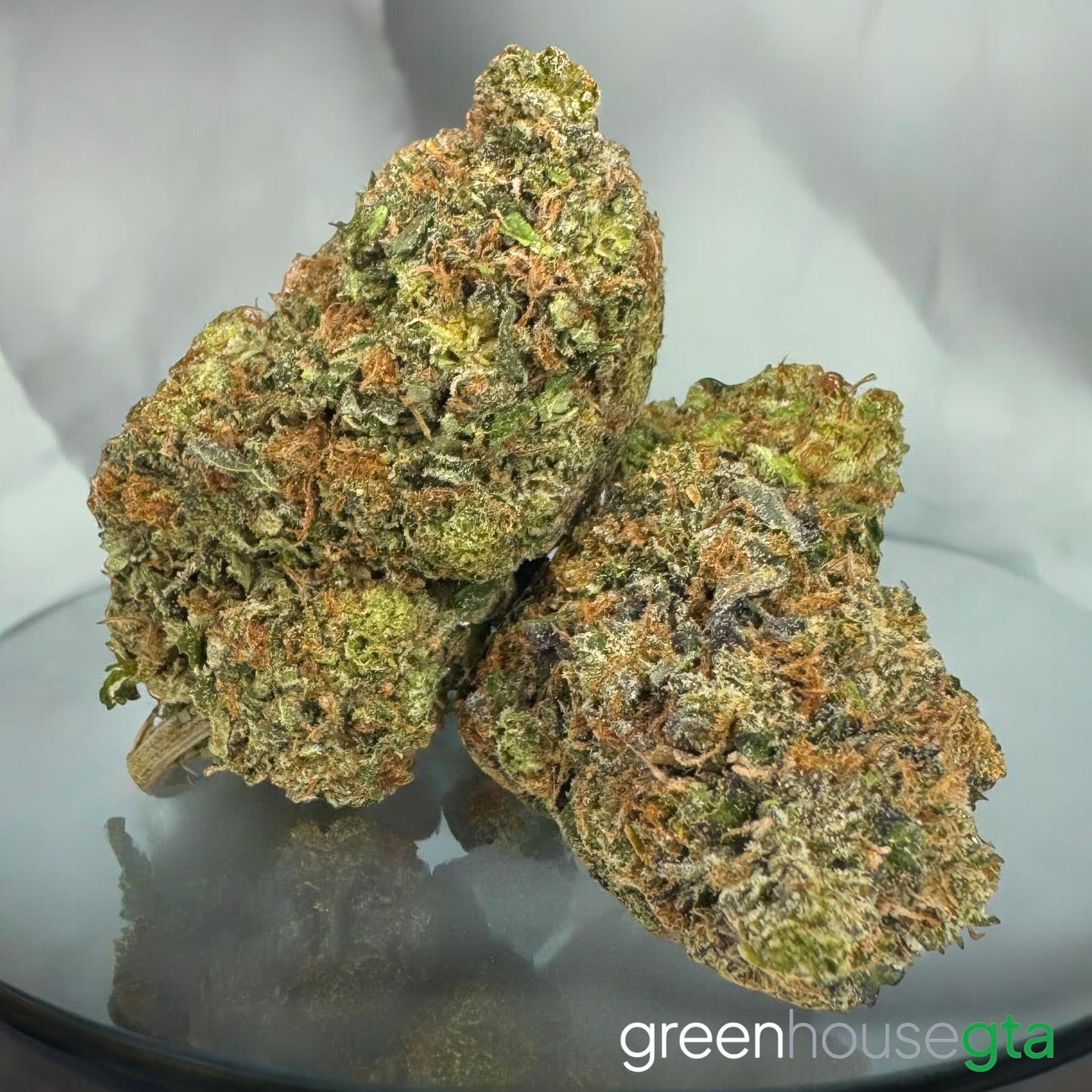 Intergalactic Skunk AAAA Sativa 32% THC craft flower | GreenHouseGTA Toronto