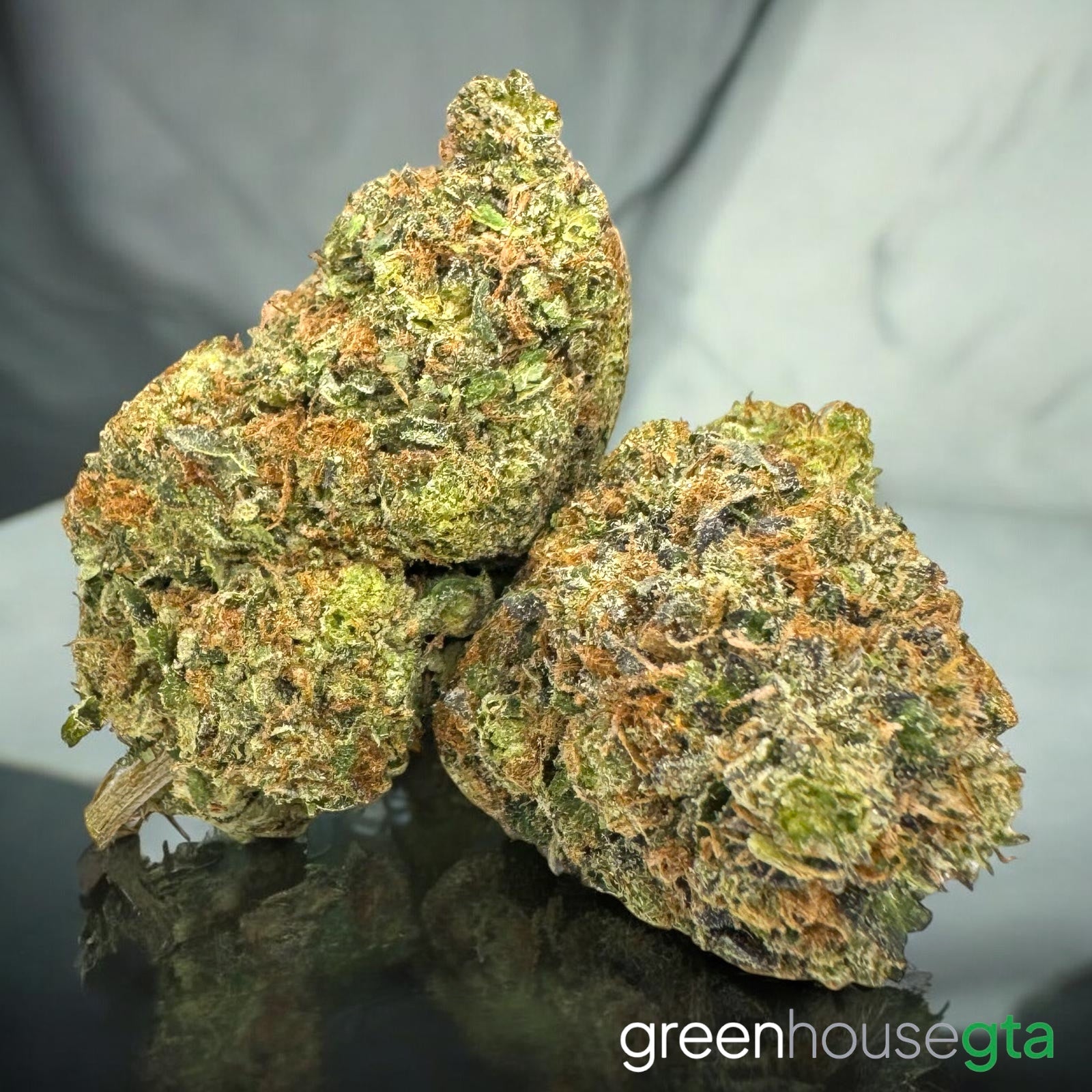 Intergalactic Skunk premium AAAA Sativa buds | Weed Delivery Toronto