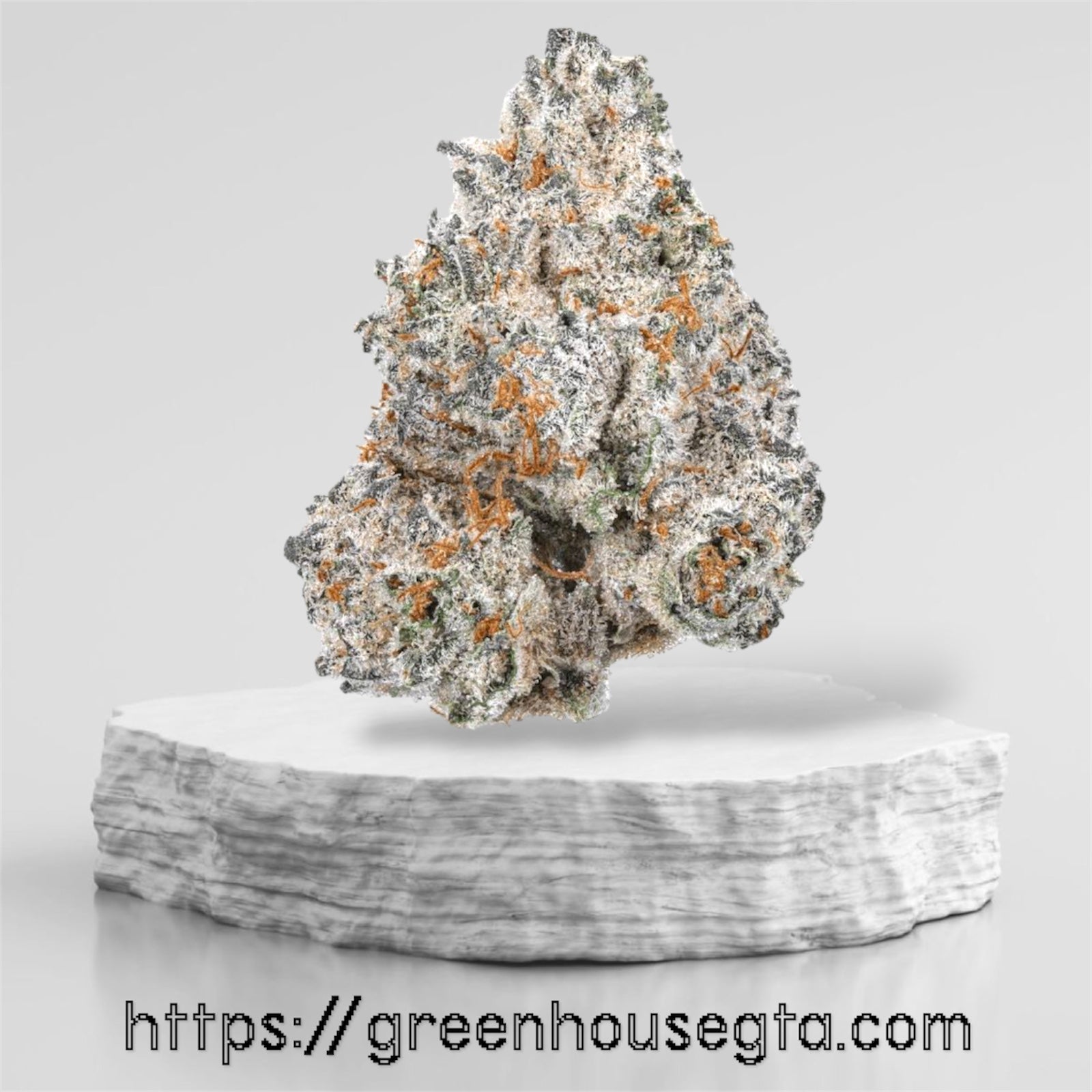 Irish Cream OG Indica Hybrid cannabis bud – frosty amber trichomes on white background