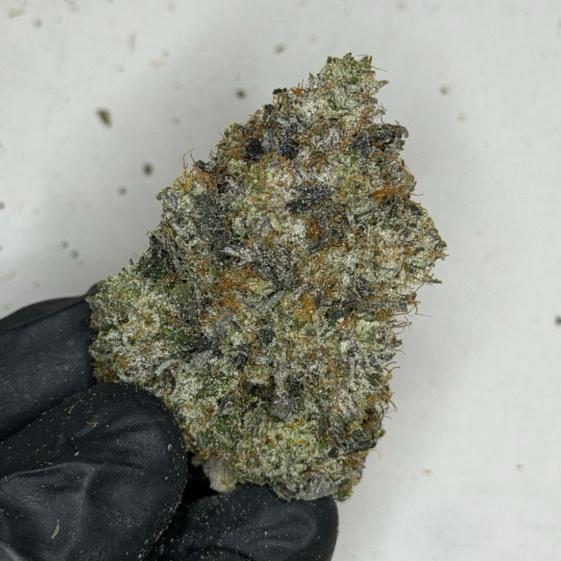 Island Sweet Skunk AAAAA Sativa sweet diesel gas flower 37 percent THC weed delivery Toronto